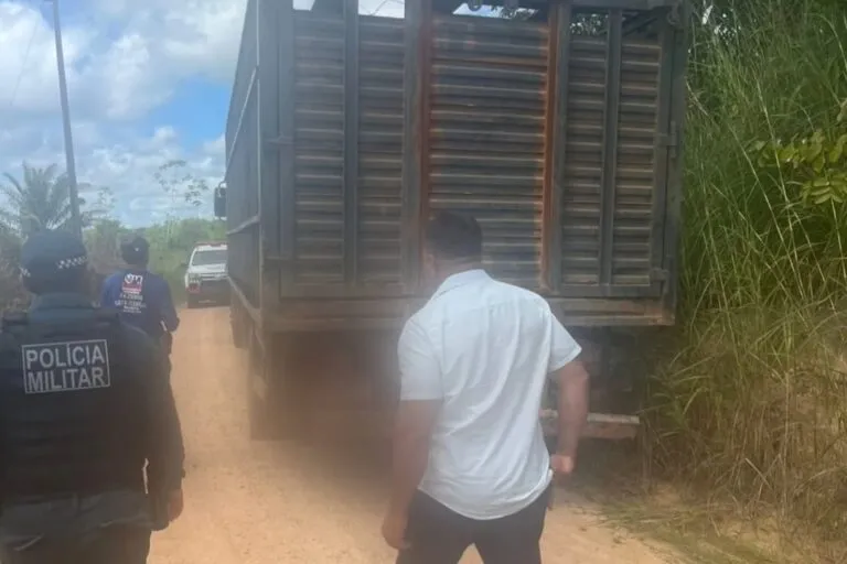 PM recupera em Itupiranga madeira furtada que seria levada para fazenda em Marabá