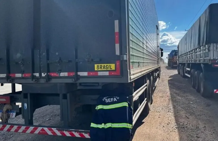 Fiscais da Sefa apreendem óleos lubrificantes em Marabá